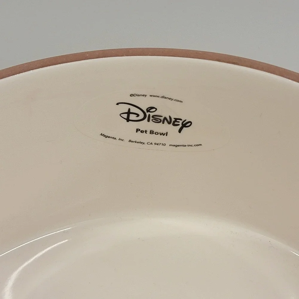 Rae Dunn Disney Winnie the Pooh Pet Bowl Feeling 11 O'clockish Ceramic Dog Dish
